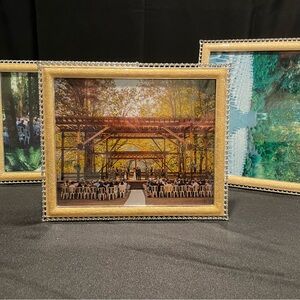 Elegant Gold and Silver Picture Frame with Intricate Detailing - Set of 3